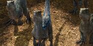 Jurassic World (2015)