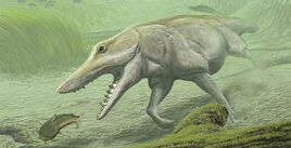 Pakicetus