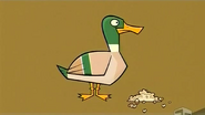 Total Drama (2007-2014)