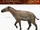 Propalaeotherium