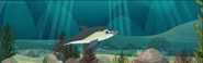 Puffin Rock (2015)