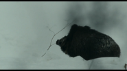 Spoor (2017)