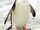 Gentoo Penguin