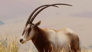 Planet Zoo: Conservation Pack (2022)