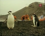 Antarctica The Last Frontier (1989)