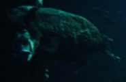 Life of Pi (2012)