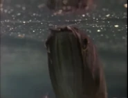 Really Wild Animals (1993-1998)