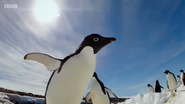 Spy in the Snow (2018)