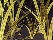 The Bushbaby (1992)