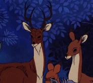 The Last Unicorn (1982)