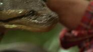 Turbo: A Power Rangers Movie (1997)