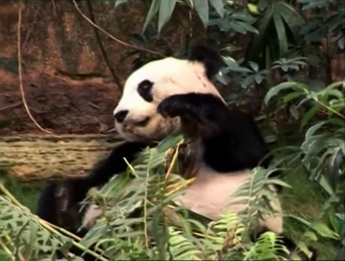 ワンダーランドファクトリー　[休憩] Denied Access To Oneworld Lounge In Amsterdam - Live and Let's Fly