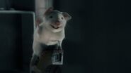 Cats and Dogs: The Revenge of Kitty Galore (2010)