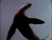 Paleoworld (1994)