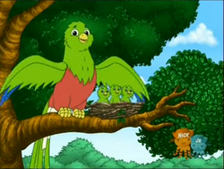 Resplendent Quetzal, NatureRules1 Wiki