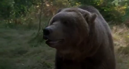 Gold Diggers: The Secret of Bear Mountain (1995)