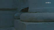 Wild Venice (2014)