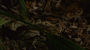 Dead By Dawn (2019)