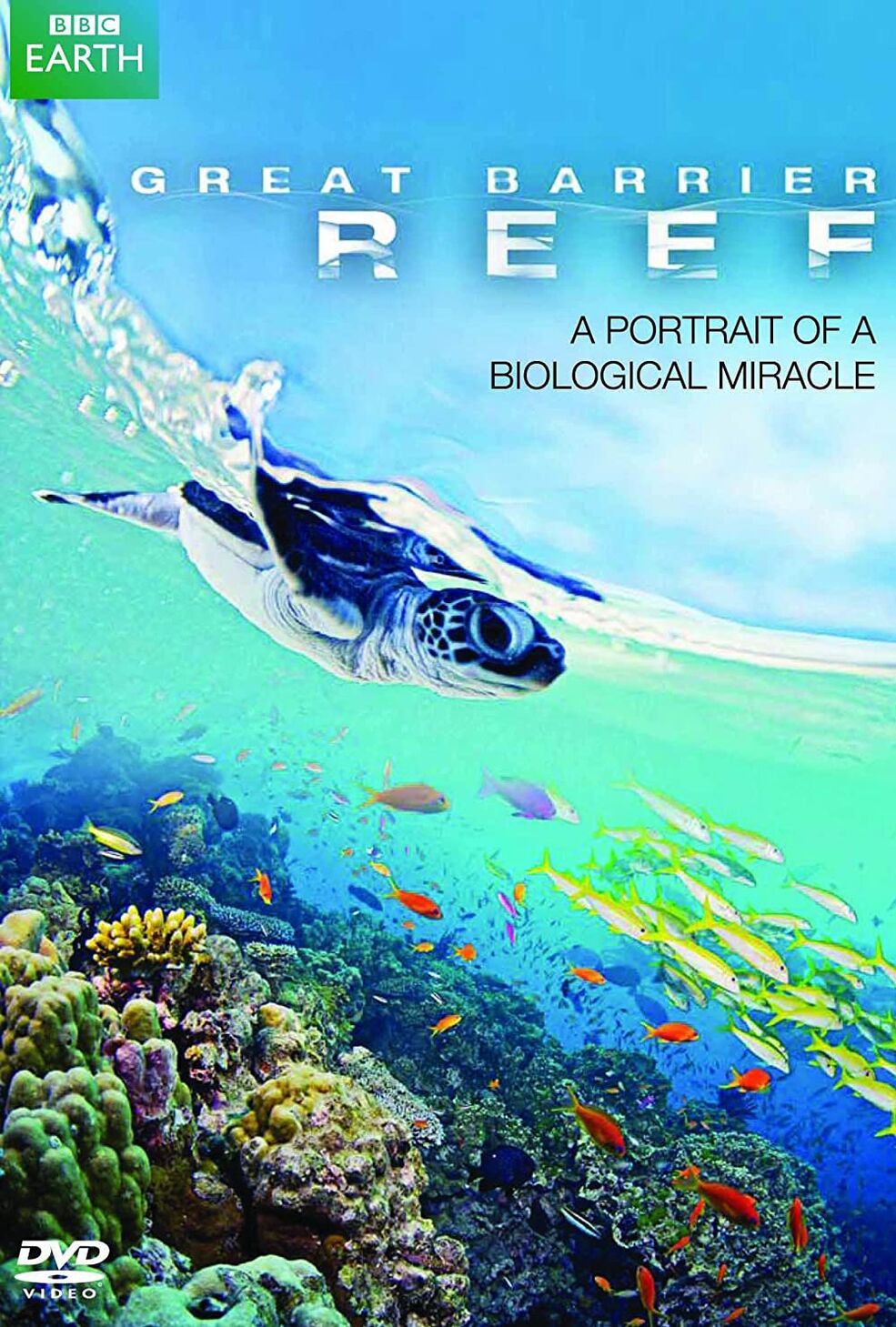 SIGNED Peter Lik Great Barrier Reef Australia Coral Fish