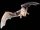 Mexican Free-tailed Bat