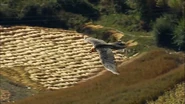 Earthflight (2012)