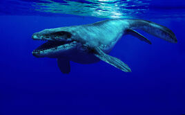 Prognathodon