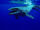Prognathodon
