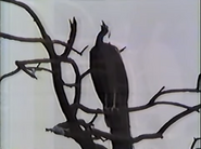 The Missing Monsoon (1984)