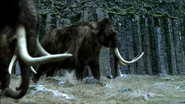 Walking with Cavemen (2003)