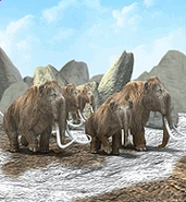 Zoo Tycoon: Dinosaur Digs (2002)