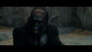 Zookeeper (2011)