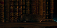 Agatha All Along (2024)
