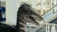 Primeval (2007-2011)