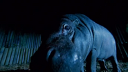 Supernatural: The Unseen Powers of Animals (1999)