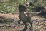 The Lost World (1999-2002)