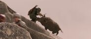 The Chronicles of Narnia: The Lion, the Witch and the Wardrobe (2005)