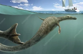 Cadborosaurus