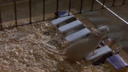Explorers (1985)