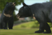 Zoo Tycoon reboot (2013)