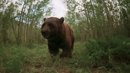 Beavers (1988)