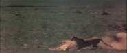 Lost in Africa (1994)