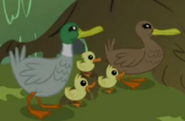 My Little Pony: Friendship Is Magic (2010-2019)