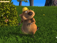 Back at the Barnyard (2007-2011)