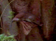 Night Hunters (1989)