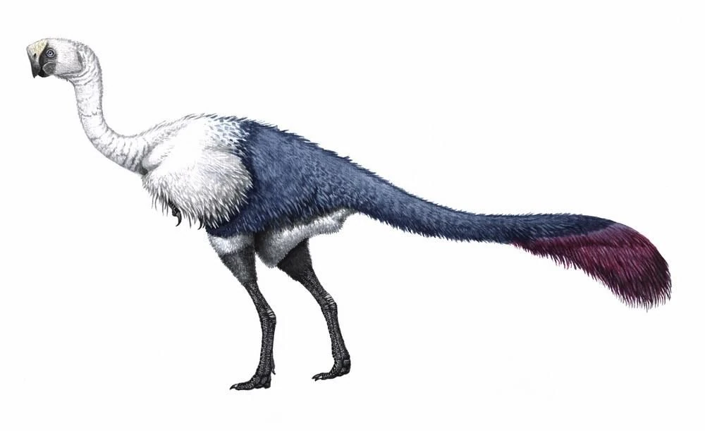 Citipati NatureRules1 Wiki Fandom