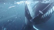 Ocean's Weirdest (2022)