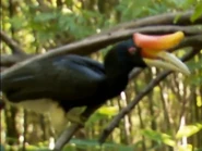 Dinosaurs Decoded (2009)