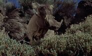 One Million Years B.C. (1966)