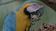 Creatures of the Magic Water (1996)
