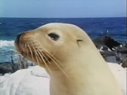 Visions of the Deep (1984)